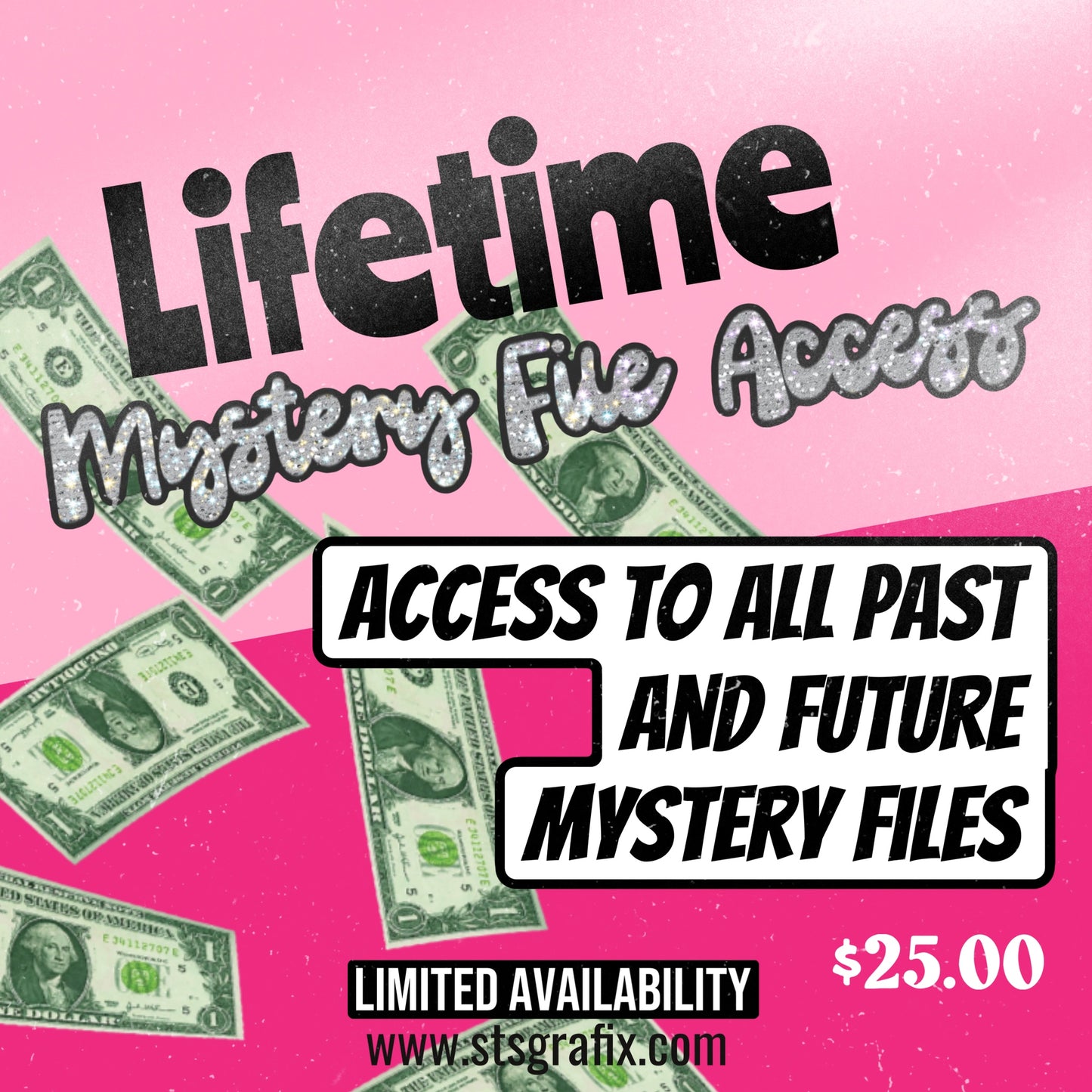 Lifetime Mystery File
