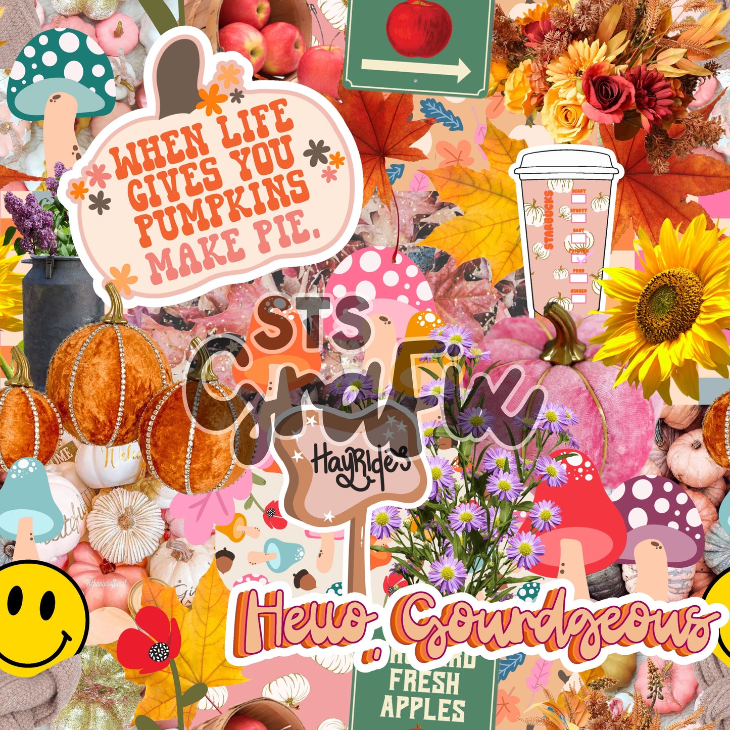 Bundle: When Life Gives You Pumpkins—BOTH COLLAGES & PNG