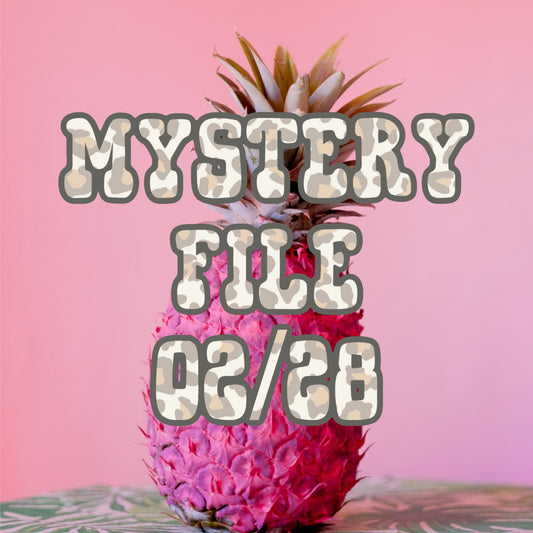 Mystery File 2/28