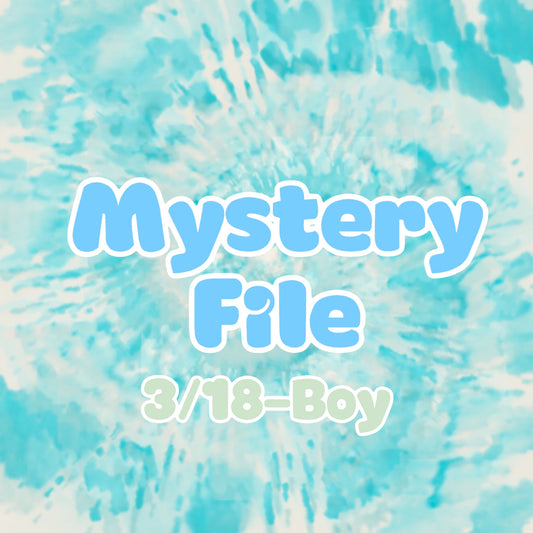 Mystery File 3/18– Boy
