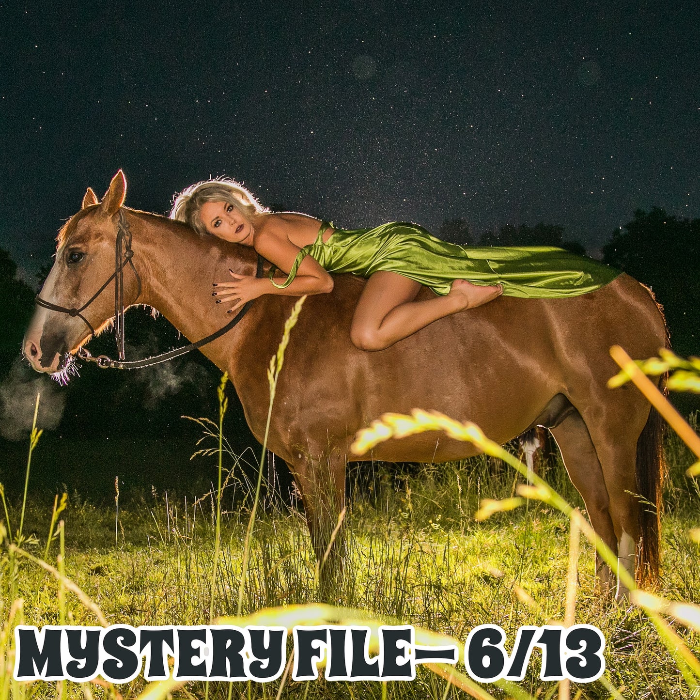 Mystery File 6/13