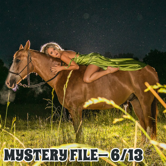 Mystery File 6/13