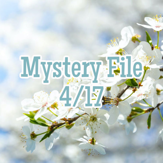 Mystery File 4/17